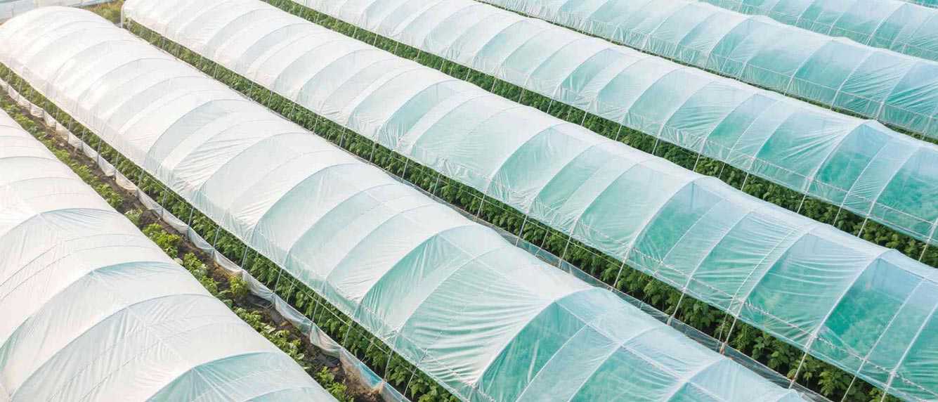 Agricultural thermal insulation transparent film tarpaulin for crop protection and greenhouse applications