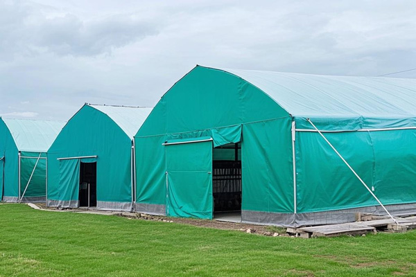 Livestock shelter tarps creating protected housing for farm animals