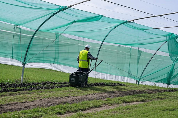 Labor saving with agricultural fabrics