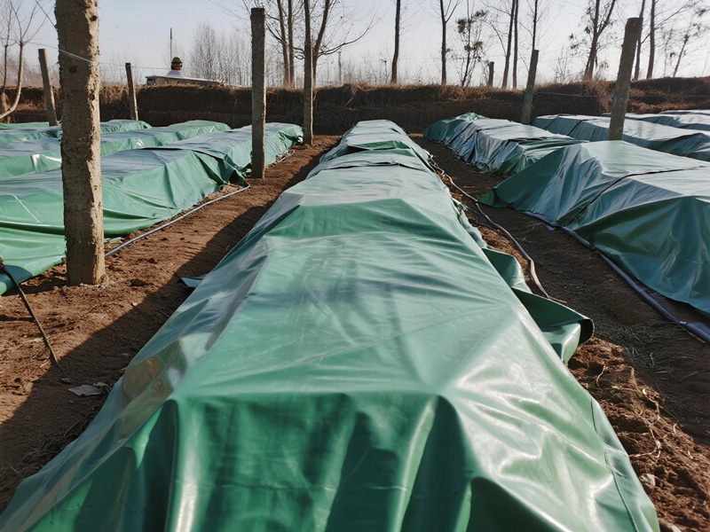 Close-up of crop protection blanket material