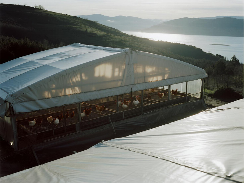 PVC tarp covering livestock barn