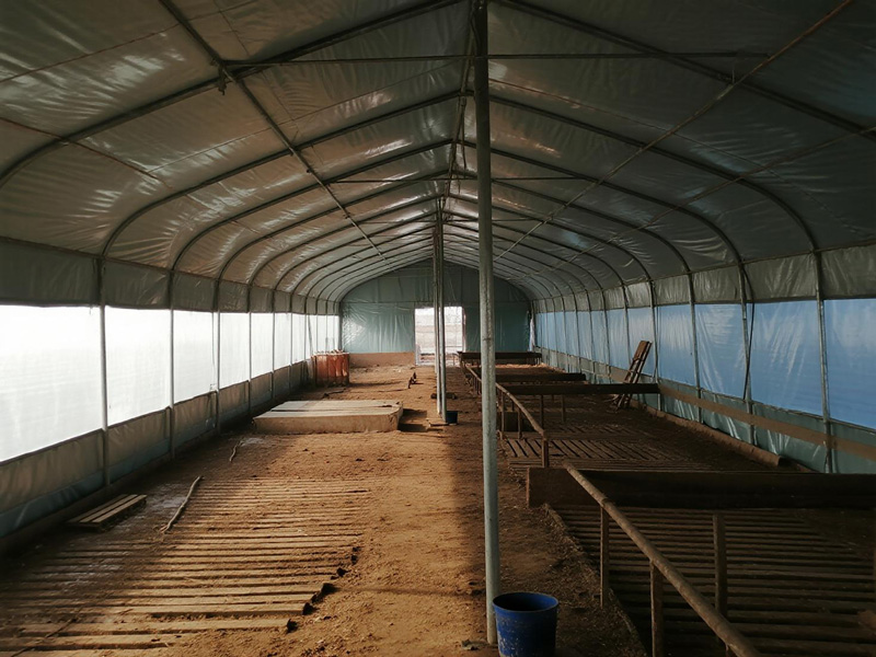 Livestock shelter with side panels open for ventilation