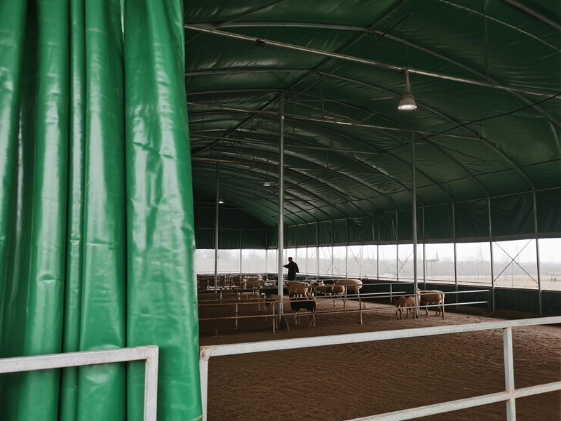 Tarp installation on a livestock shelter frame