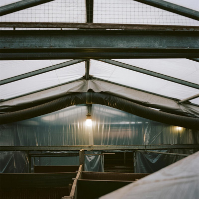 Large livestock barn with PVC roof covering