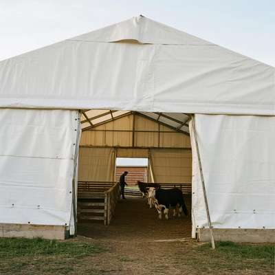 Interior view showing light diffusion through livestock shelter tarp