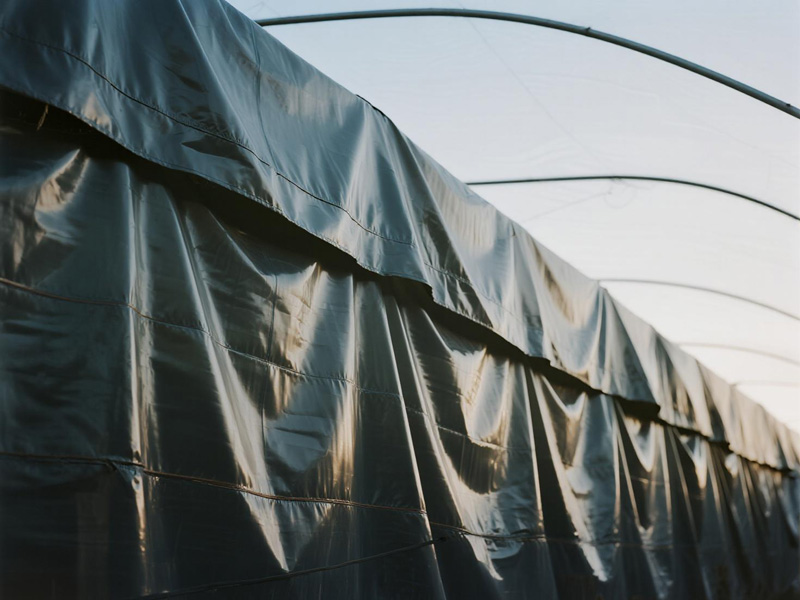 Grain storage cover in warehouse with controlled ventilation system