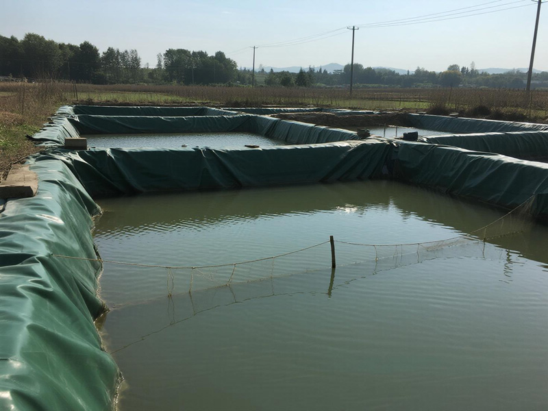 Close-up of reinforced edges on aquaculture cover