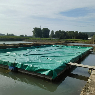 Large-scale fish farm with pond cover system