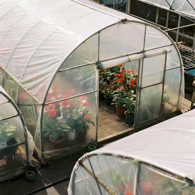 Seedling insulation tarp covering propagation trays