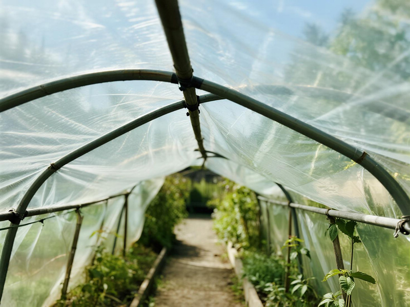 Close-up of garden path rain cover material showing waterproof properties