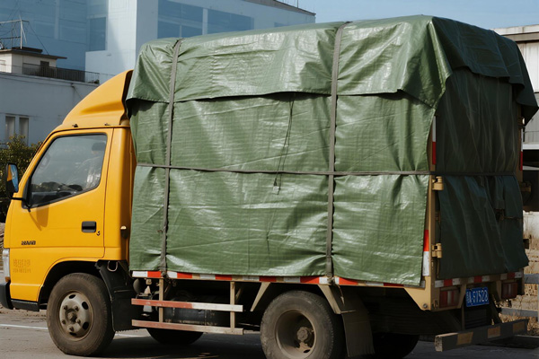 Rural delivery with protected packages in remote areas
