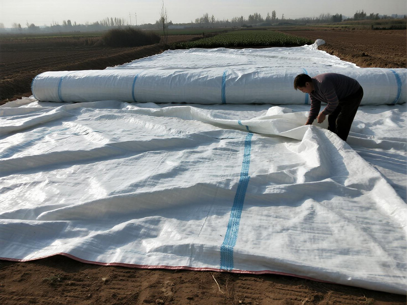 Crop drying cover protecting harvested grains in a farm setting