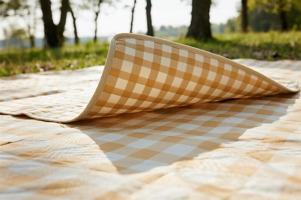 Camping trip with picnic blanket as ground cover