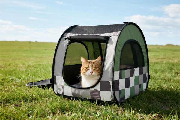 Pet bed cover at beach